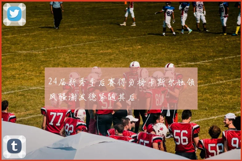 24届新秀季后赛得分榜卡斯尔独领风骚谢泼德紧随其后